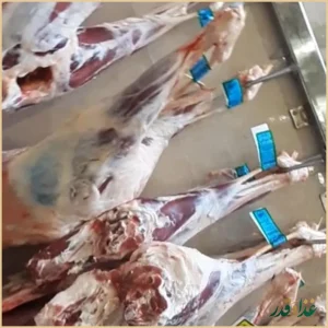 کباب ممتاز الماس