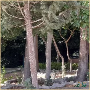 رستوران نمازخانه و سرویس بهداشتی دانشگاه اصفهان