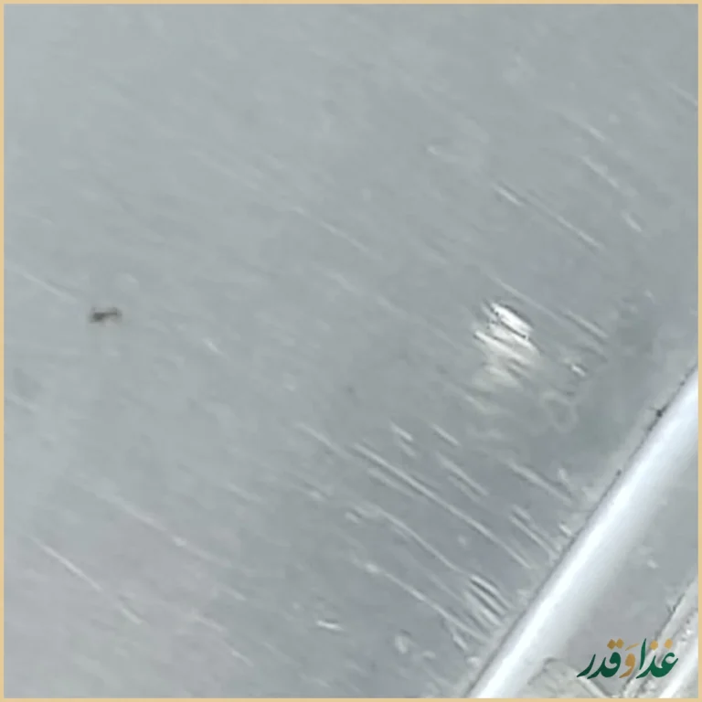 رستوران پاسارگاد