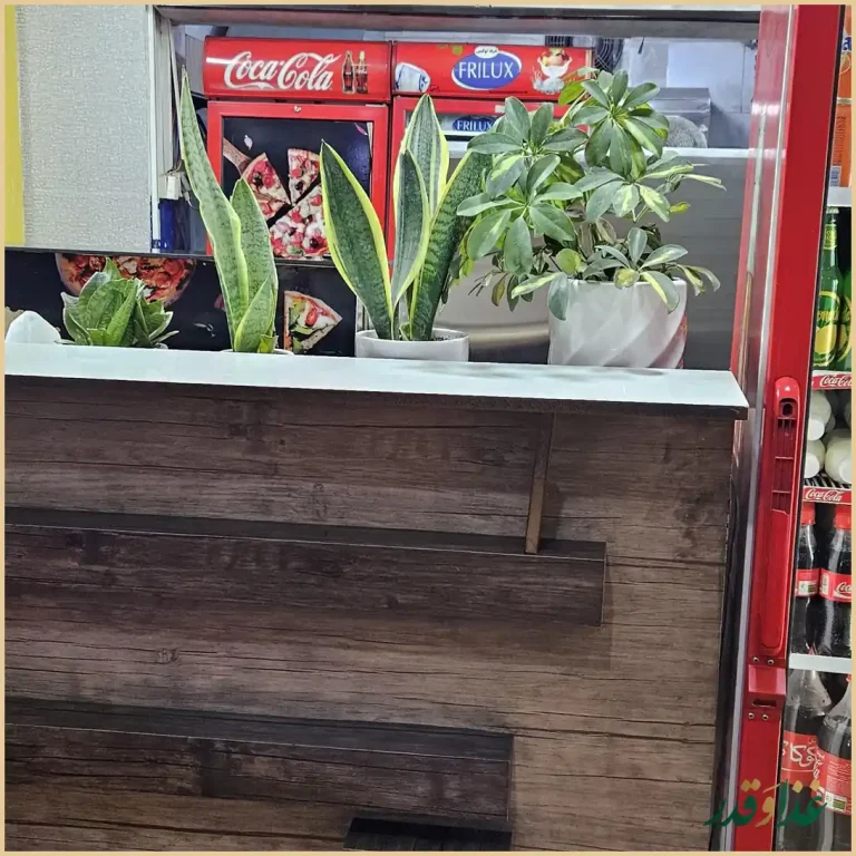 اصفهان پیتزا