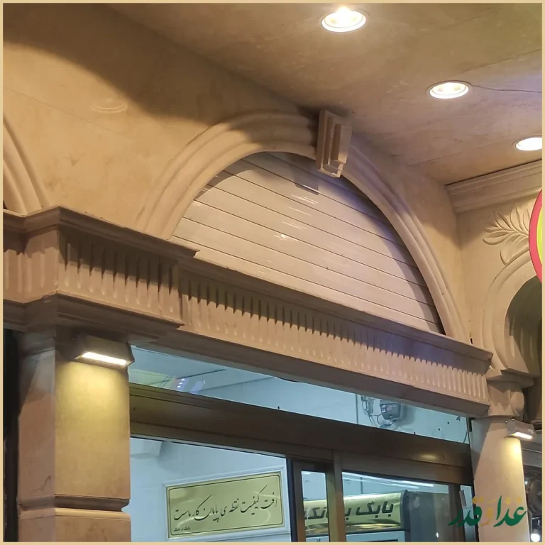 بابک بریانک