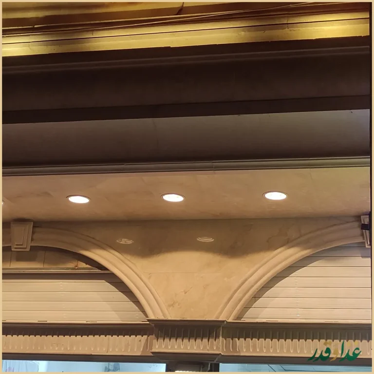 بابک بریانک