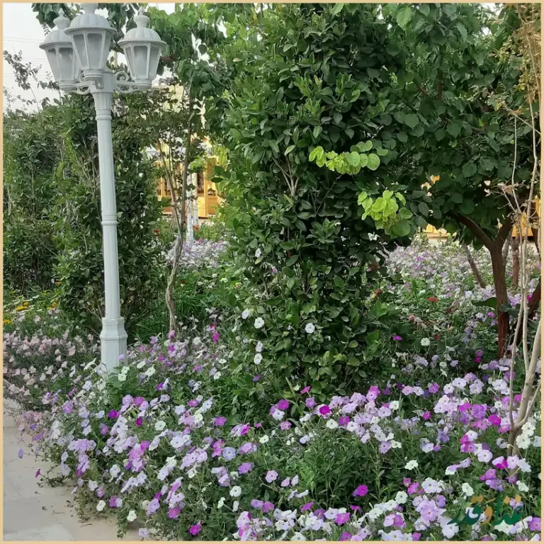 باغ رستوران نقش جهان