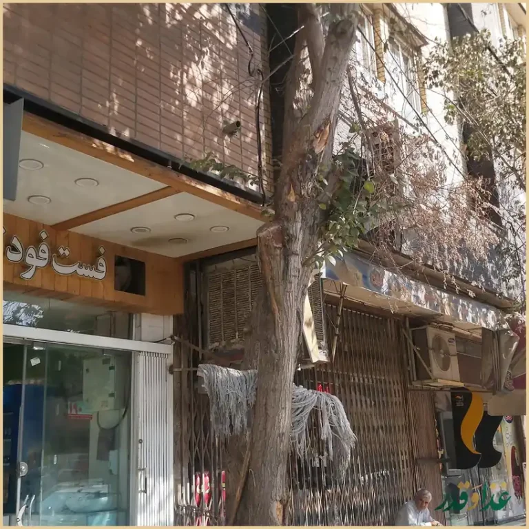 فست فود ترافیک