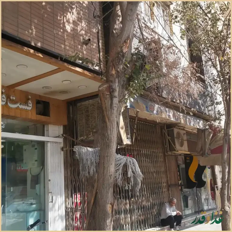 فست فود ترافیک