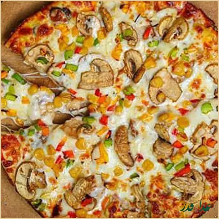 فست فود و پیتزا ناردون