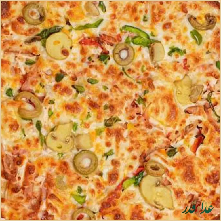 فست فود و پیتزا ناردون