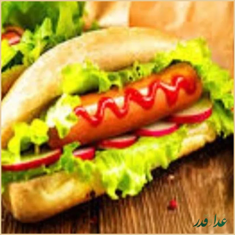 پیتزا همبرگر صدف شهرابریشم