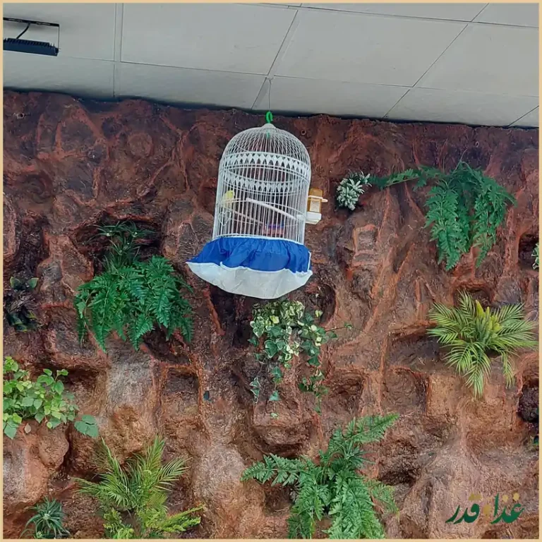 رستوران امیرانه