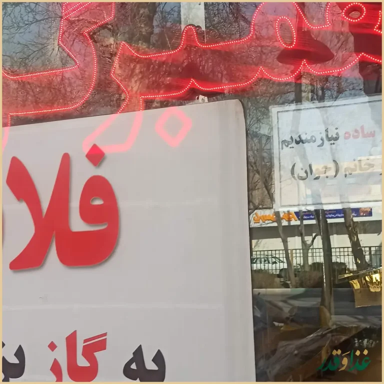 فلافل جی شعبه جی