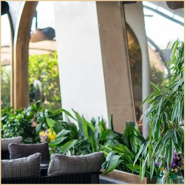 رستوران سیگنیچر