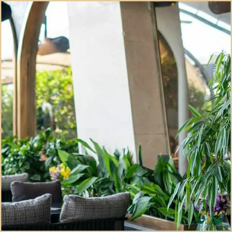 رستوران سیگنیچر