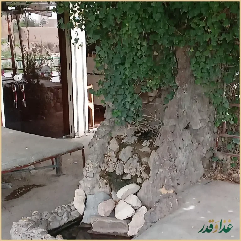 کباب وبریان سنتی مباشری