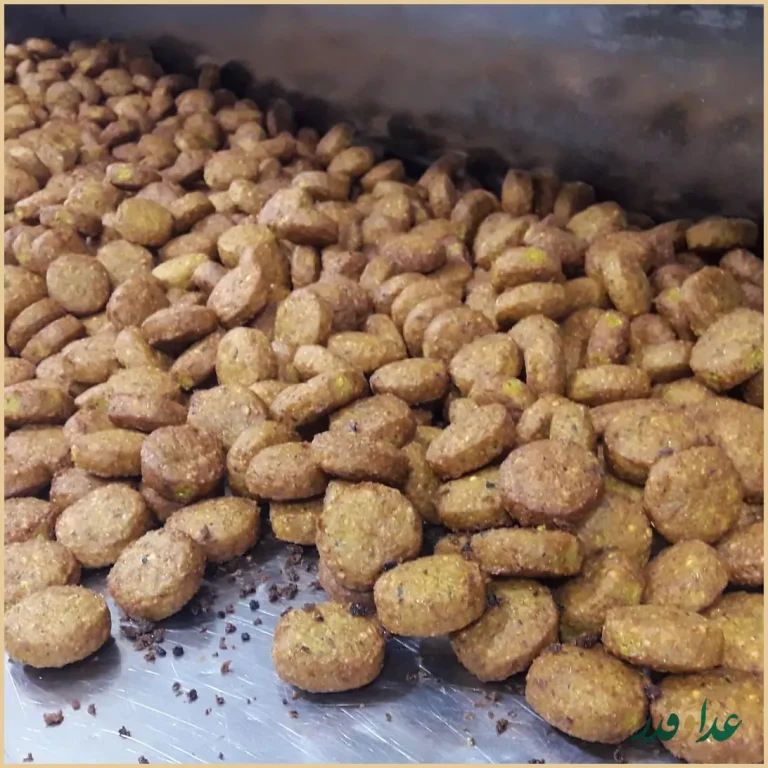 فلافل کده آگرین