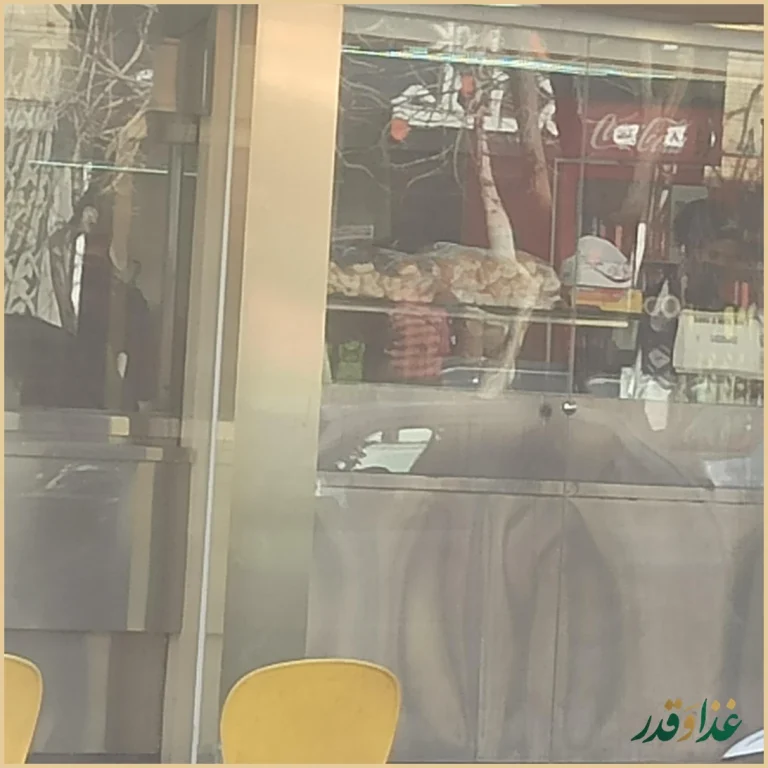 فست فود مسترویچ