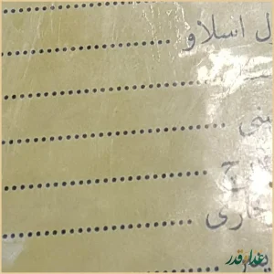 فست فود گردونه