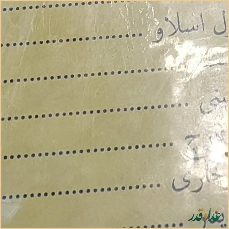 فست فود گردونه