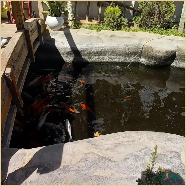 رستوران مهستان شاندیز