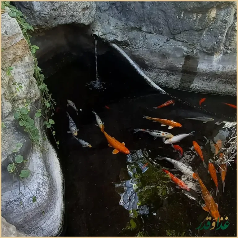 رستوران مهستان شاندیز