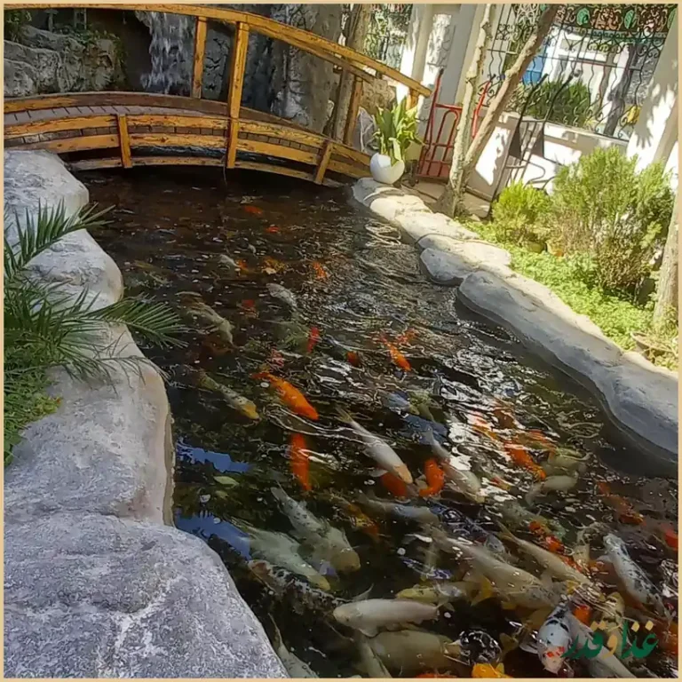 رستوران مهستان شاندیز