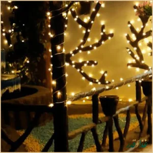 باغ رستوران دورهمی