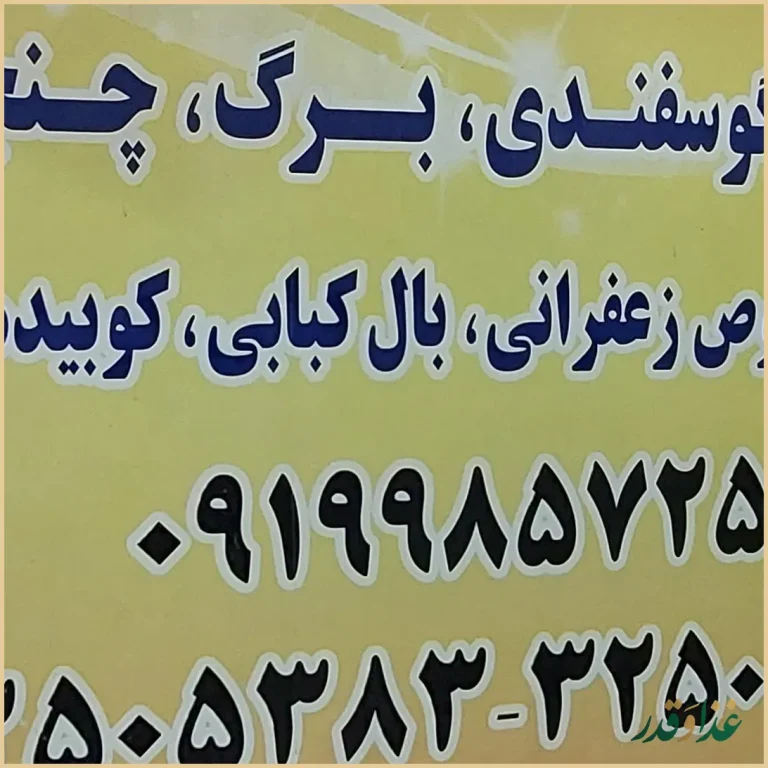 رستوران کباب مباب