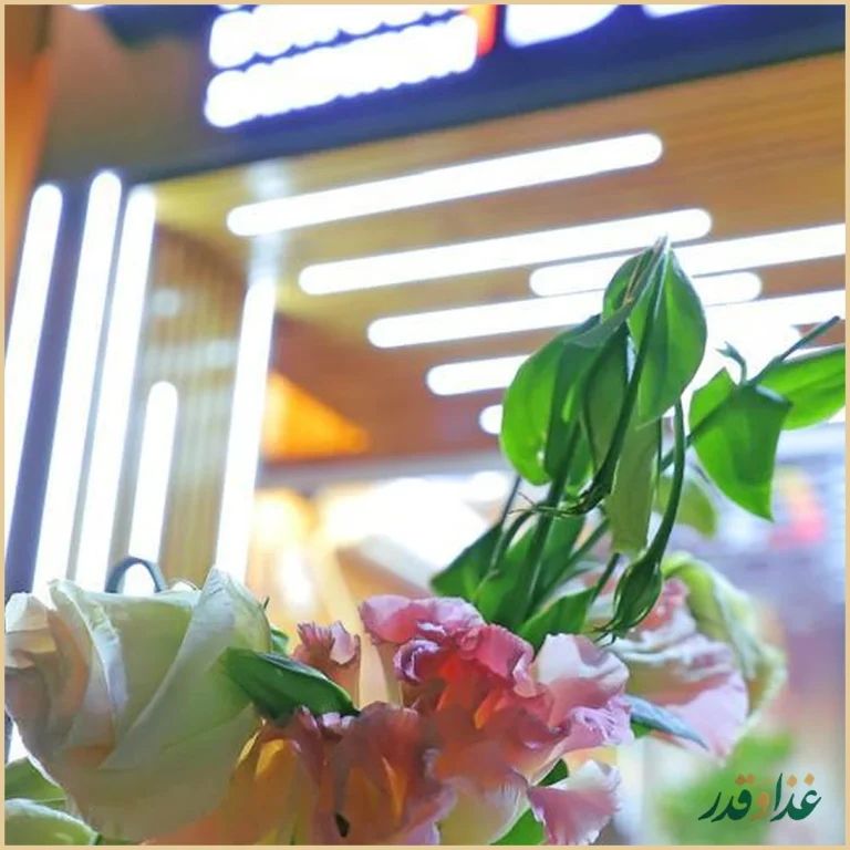 پیتزا لی یو ( لیو )