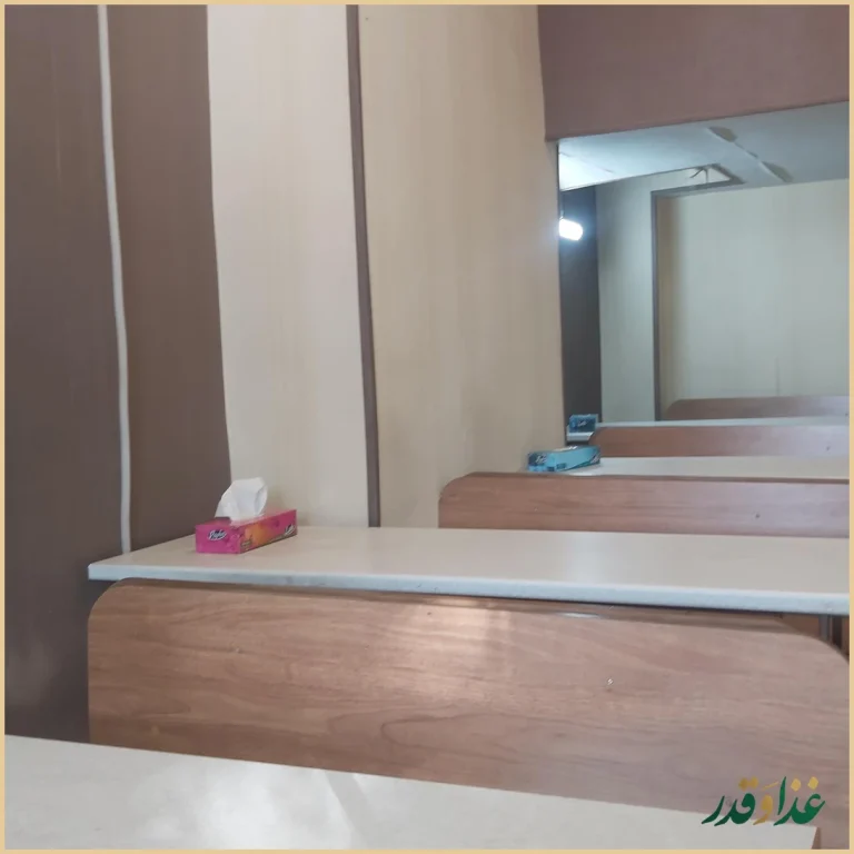 کباب ترکی و همبرگر راویس