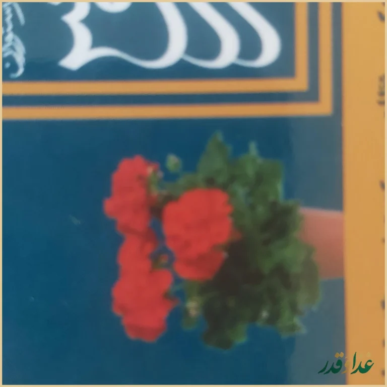 کافه رستوران خانه مارکوس