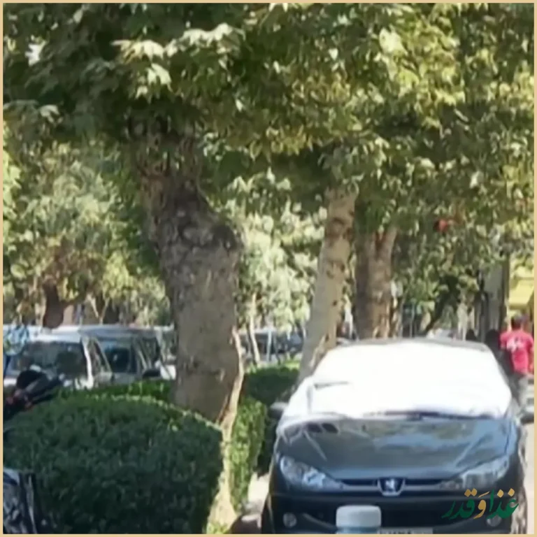 رستوران رضایی