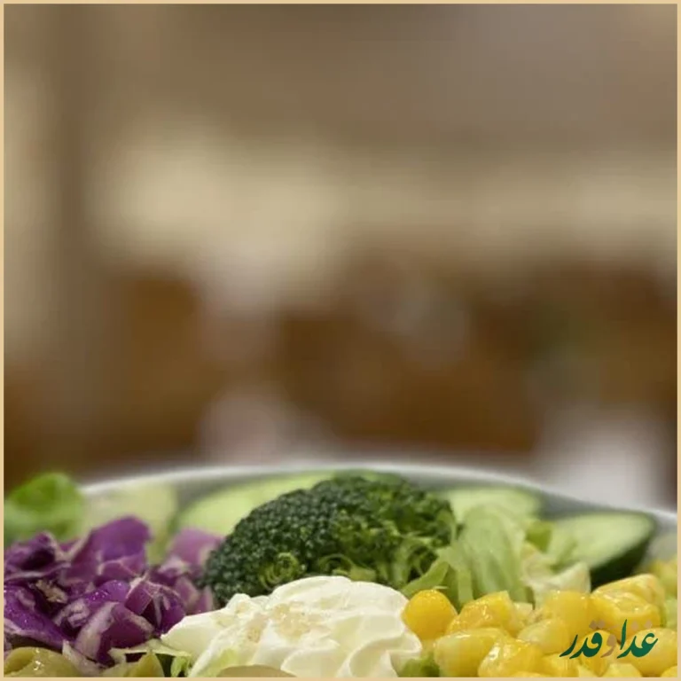 رستوران رضایی