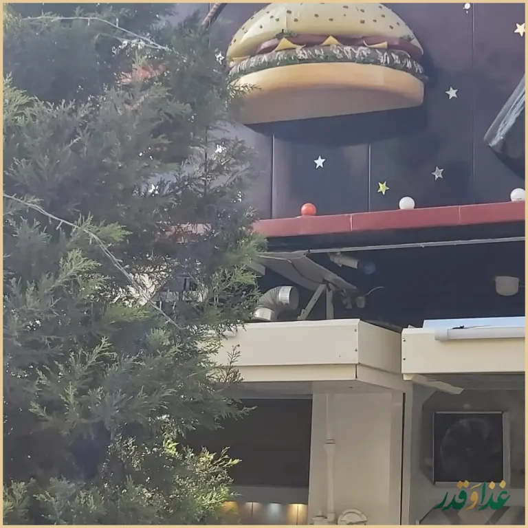 فست فود آرابو