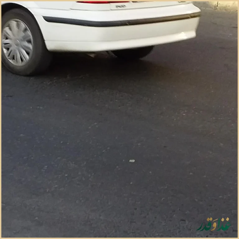 کبابی برادران