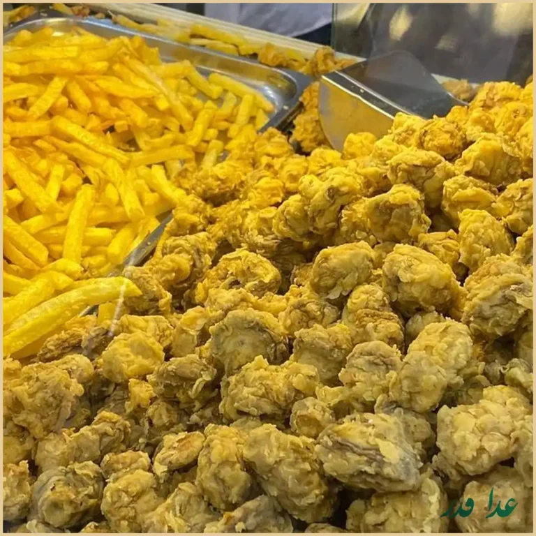 فست فود شقایق