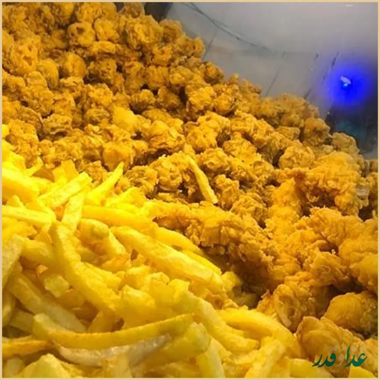 فست فود شقایق