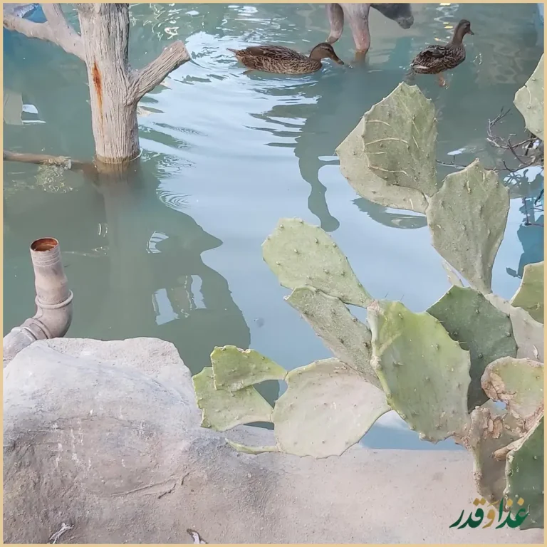 باغ رستوران خواجو