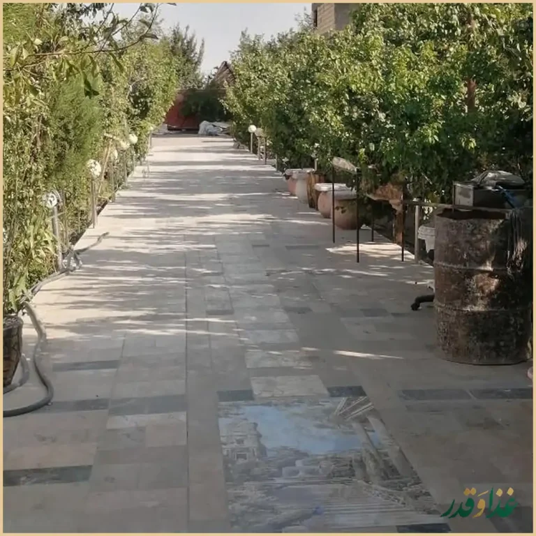 رستوران درختی