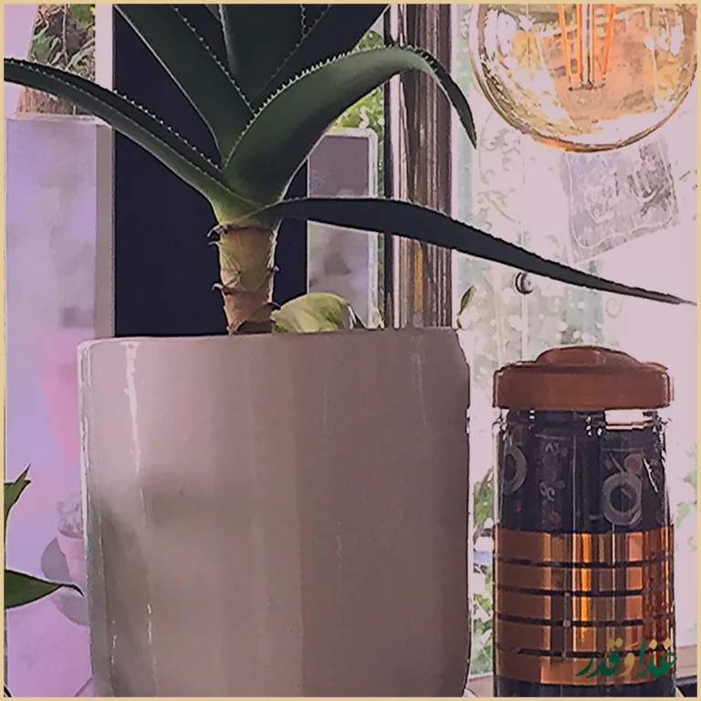 رستوران فخاری