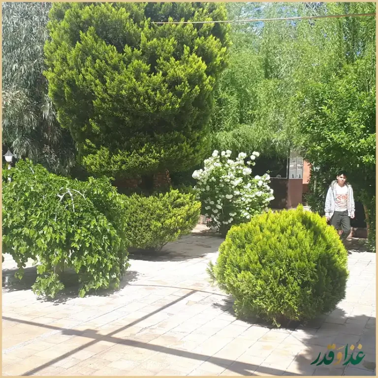 باغ رستوران رز