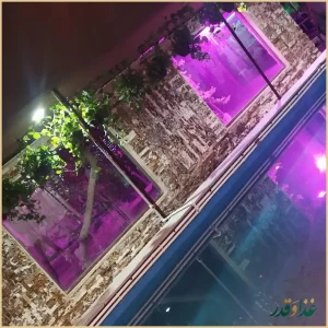 باغ رستوران شب