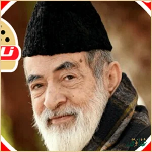 همبرگر نارانی