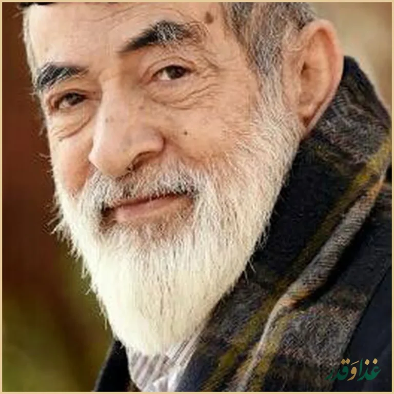 همبرگر نارانی