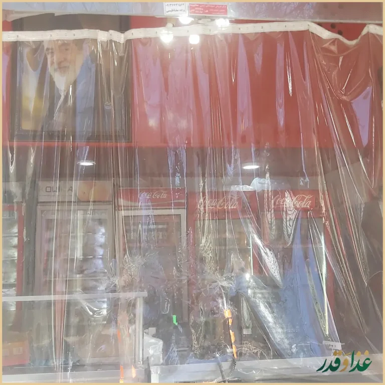 همبرگر نارانی