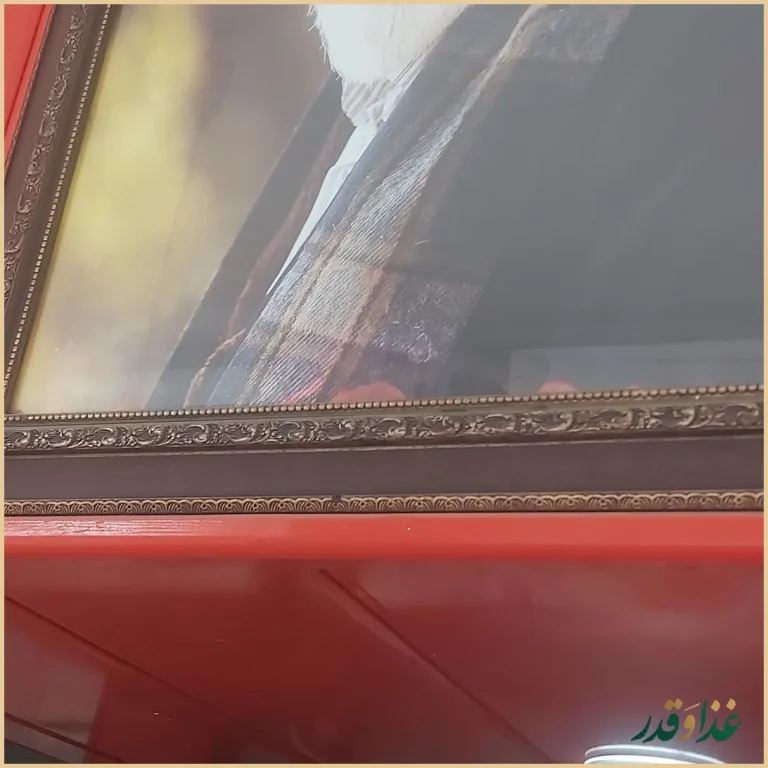 همبرگر نارانی