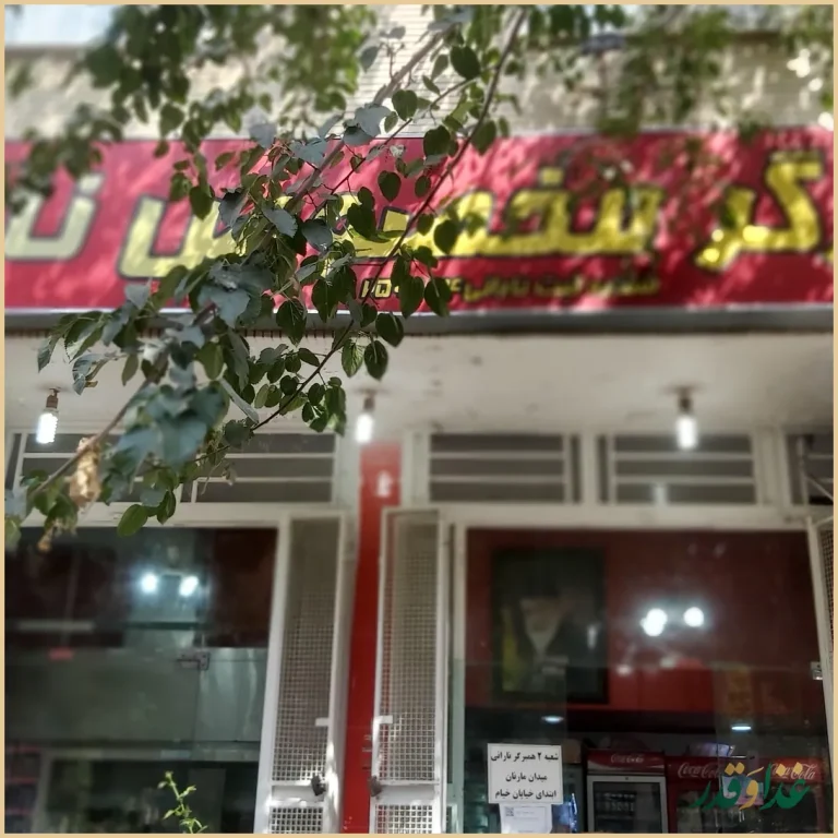 همبرگر نارانی