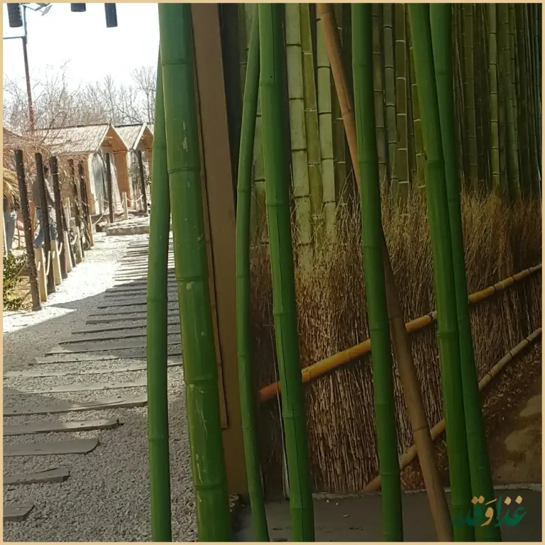 رستوران باغ بامبو