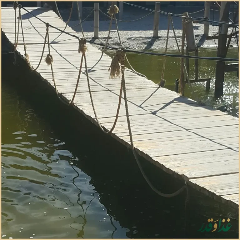 رستوران باغ بامبو