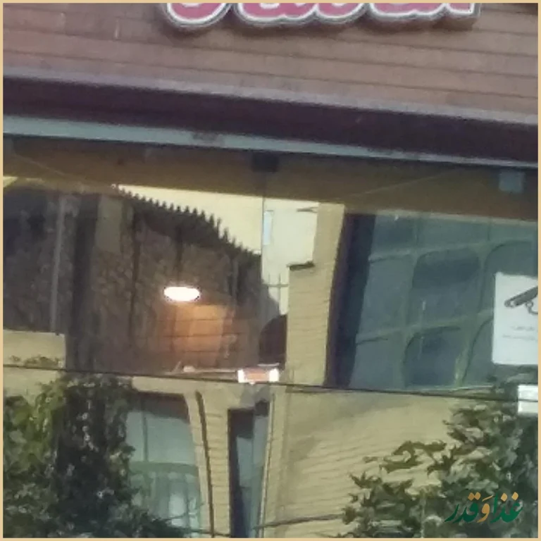 فست فود کارا