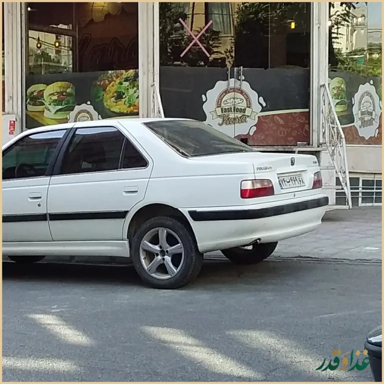 فست فود کارا