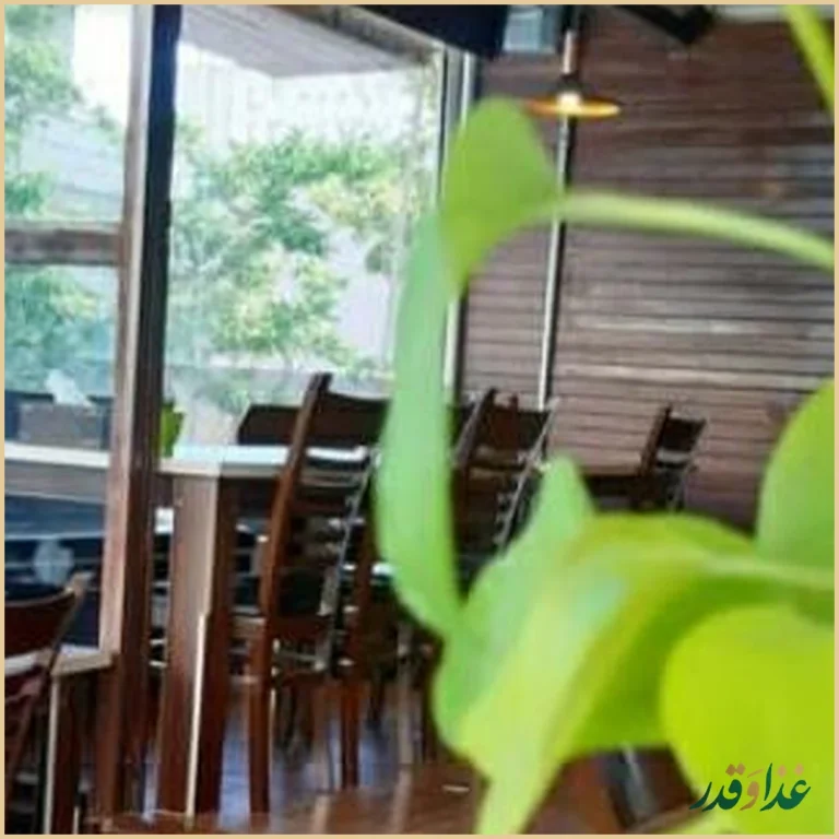 فست فود کارا